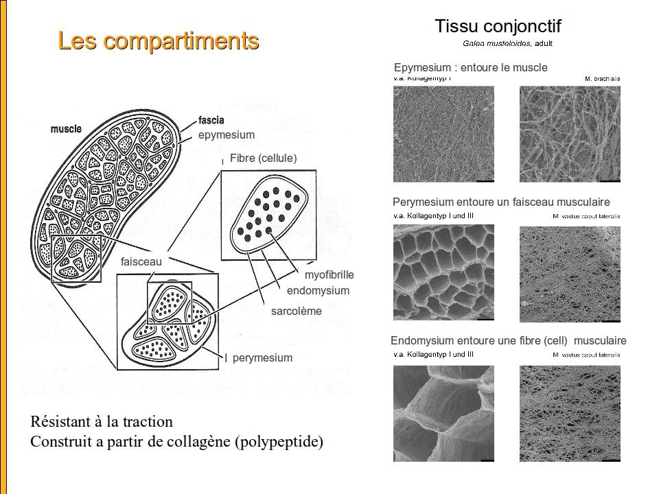 compartiment.jpg, juin 2012 compartiment.jpg